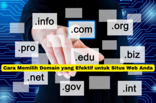 Cara Memilih Domain yang Efektif untuk Situs Web Anda