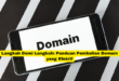Langkah Demi Langkah Panduan Pembelian Domain yang Efektif
