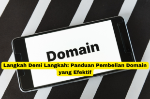 Langkah Demi Langkah Panduan Pembelian Domain yang Efektif
