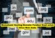 Memahami Hosting Domain Fondasi Kuat untuk Situs Web Anda