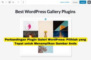 Perbandingan Plugin Galeri WordPress Pilihlah yang Tepat untuk Menampilkan Gambar Anda