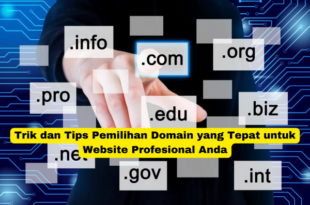 Trik dan Tips Pemilihan Domain yang Tepat untuk Website Profesional Anda