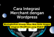Meningkatkan Kinerja Situs Web Anda dengan Integrasi WordPress yang Efektif