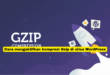 Cara mengaktifkan kompresi Gzip di situs WordPress