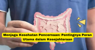 Menjaga Kesehatan Pencernaan Pentingnya Peran Utama dalam Kesejahteraan