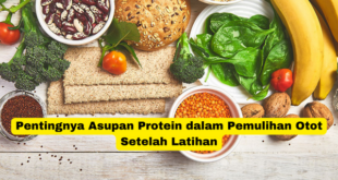 Pentingnya Asupan Protein dalam Pemulihan Otot Setelah Latihan