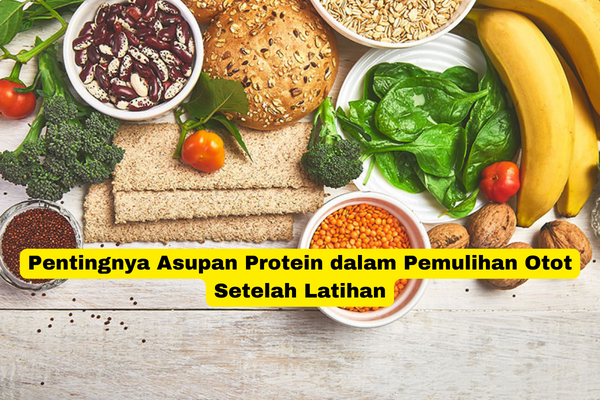 Pentingnya Asupan Protein dalam Pemulihan Otot Setelah Latihan