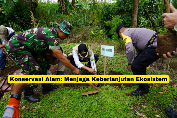 Konservasi Alam Menjaga Keberlanjutan Ekosistem