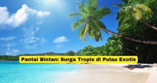 Pantai Bintan Surga Tropis di Pulau Exotis