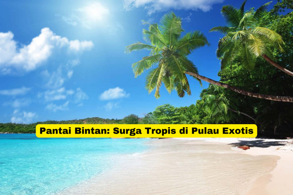 Pantai Bintan Surga Tropis di Pulau Exotis