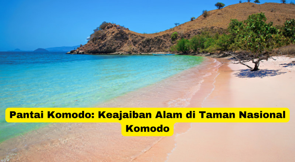 Pantai Komodo Keajaiban Alam di Taman Nasional Komodo