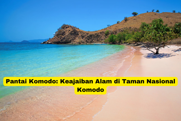 Pantai Komodo Keajaiban Alam di Taman Nasional Komodo