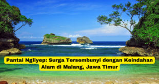 Pantai Ngliyep Surga Tersembunyi dengan Keindahan Alam di Malang, Jawa Timur