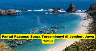 Pantai Papuma Surga Tersembunyi di Jember, Jawa Timur