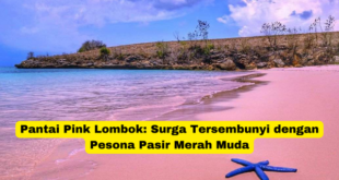 Pantai Pink Lombok Surga Tersembunyi dengan Pesona Pasir Merah Muda