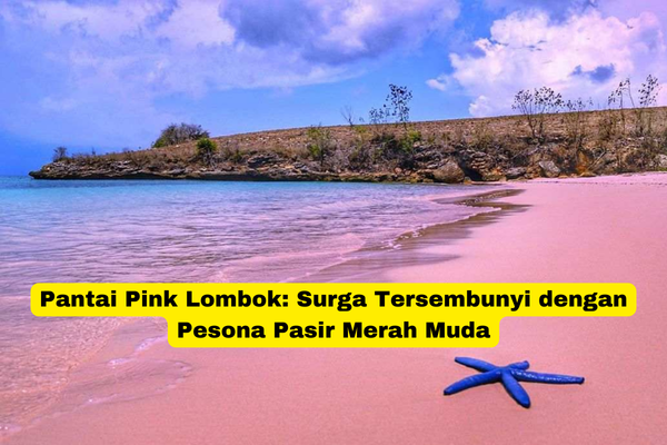 Pantai Pink Lombok Surga Tersembunyi dengan Pesona Pasir Merah Muda