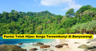 Pantai Teluk Hijau Surga Tersembunyi di Banyuwangi