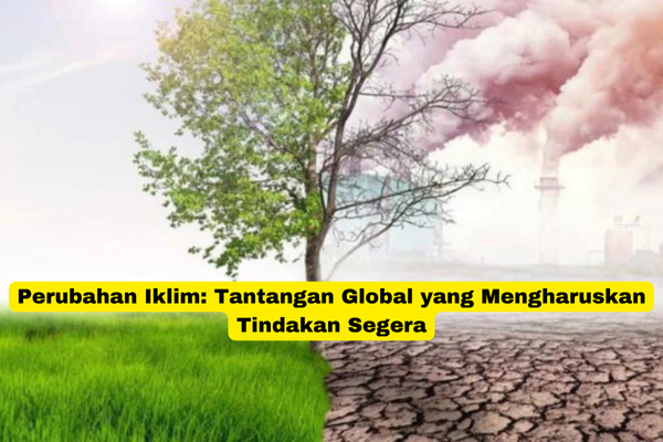 Perubahan Iklim Tantangan Global yang Mengharuskan Tindakan Segera