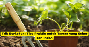 Trik Berkebun Tips Praktis untuk Taman yang Subur dan Indah