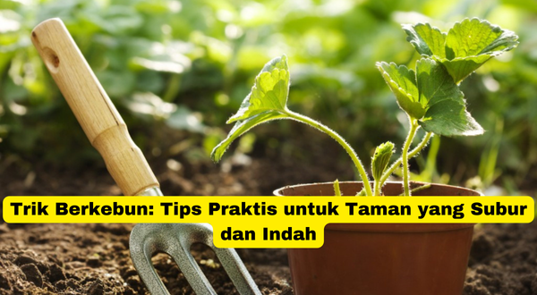 Trik Berkebun Tips Praktis untuk Taman yang Subur dan Indah