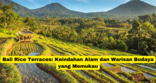 Bali Rice Terraces Keindahan Alam dan Warisan Budaya yang Memukau