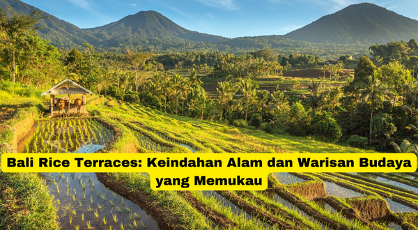 Bali Rice Terraces Keindahan Alam dan Warisan Budaya yang Memukau