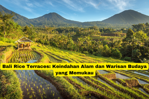 Bali Rice Terraces Keindahan Alam dan Warisan Budaya yang Memukau