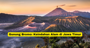 Gunung Bromo Keindahan Alam di Jawa Timur