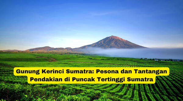 Gunung Kerinci Sumatra Pesona dan Tantangan Pendakian di Puncak Tertinggi Sumatra