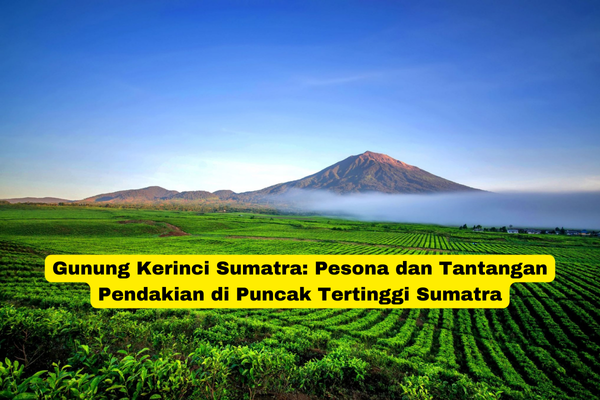 Gunung Kerinci Sumatra Pesona dan Tantangan Pendakian di Puncak Tertinggi Sumatra