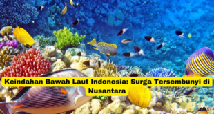 Keindahan Bawah Laut Indonesia Surga Tersembunyi di Nusantara