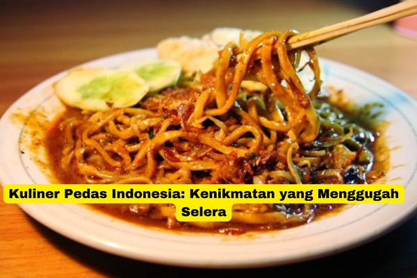 Kuliner Pedas Indonesia Kenikmatan yang Menggugah Selera