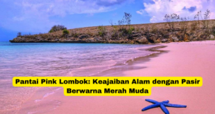 Pantai Pink Lombok Keajaiban Alam dengan Pasir Berwarna Merah Muda