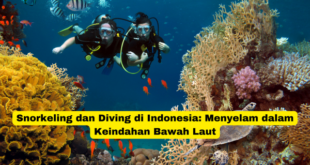 Snorkeling dan Diving di Indonesia Menyelam dalam Keindahan Bawah Laut