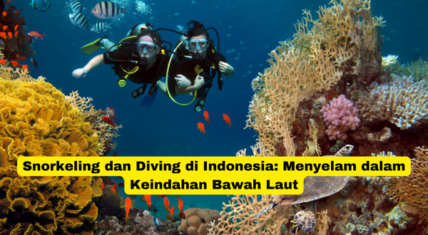 Snorkeling dan Diving di Indonesia Menyelam dalam Keindahan Bawah Laut