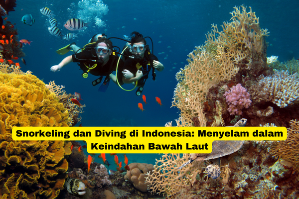 Snorkeling dan Diving di Indonesia Menyelam dalam Keindahan Bawah Laut