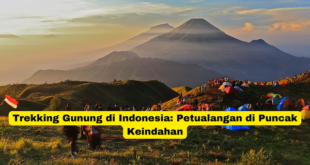 Trekking Gunung di Indonesia Petualangan di Puncak Keindahan