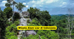 Wisata Alam Liar di Indonesia