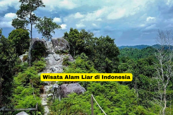 Wisata Alam Liar di Indonesia