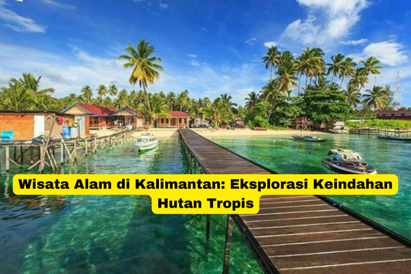 Wisata Alam di Kalimantan Eksplorasi Keindahan Hutan Tropis