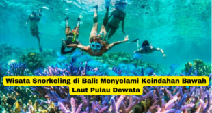 Wisata Snorkeling di Bali Menyelami Keindahan Bawah Laut Pulau Dewata