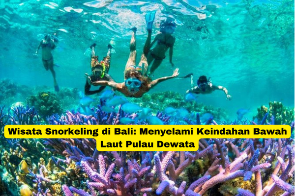 Wisata Snorkeling di Bali Menyelami Keindahan Bawah Laut Pulau Dewata