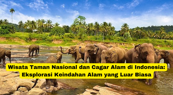 Wisata Taman Nasional dan Cagar Alam di Indonesia Eksplorasi Keindahan Alam yang Luar Biasa