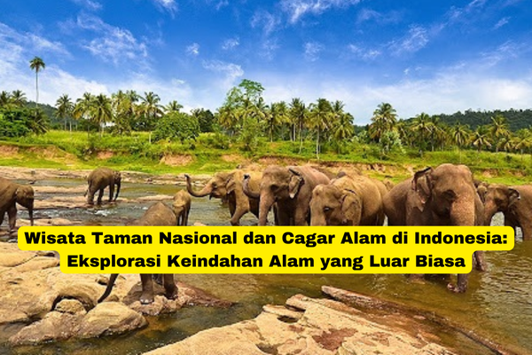 Wisata Taman Nasional dan Cagar Alam di Indonesia Eksplorasi Keindahan Alam yang Luar Biasa