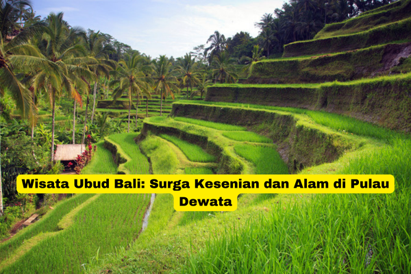 Wisata Ubud Bali Surga Kesenian dan Alam di Pulau Dewata