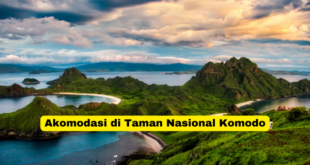 Akomodasi di Taman Nasional Komodo