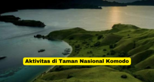 Aktivitas di Taman Nasional Komodo