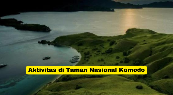 Aktivitas di Taman Nasional Komodo