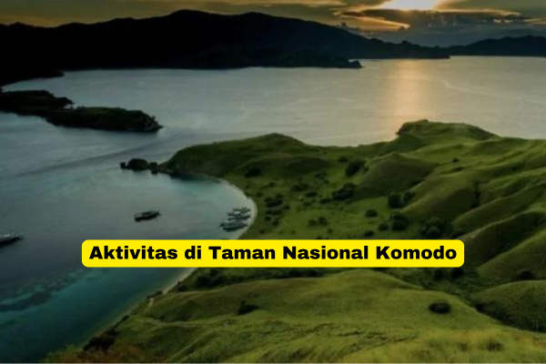 Aktivitas di Taman Nasional Komodo