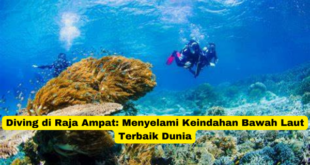 Diving di Raja Ampat Menyelami Keindahan Bawah Laut Terbaik Dunia